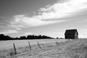 Cara Weston, Barn and Clouds, Galerie Stephen Hoffman