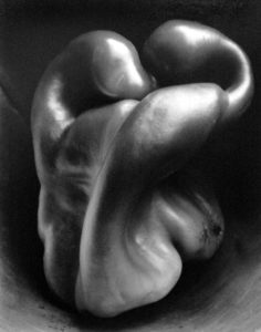 Edward Weston, Pepper,1930 - Galerie Stephen Hoffman